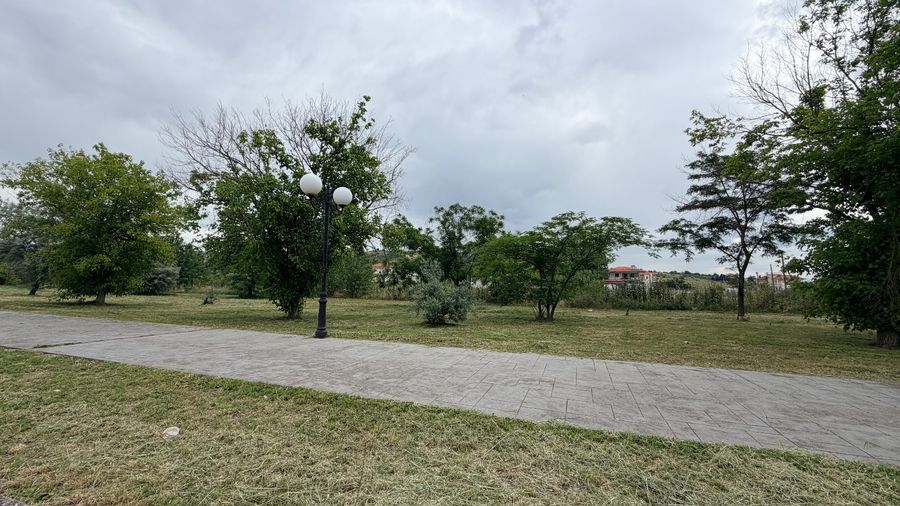 Photo 354301674