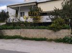 Photo 354424251