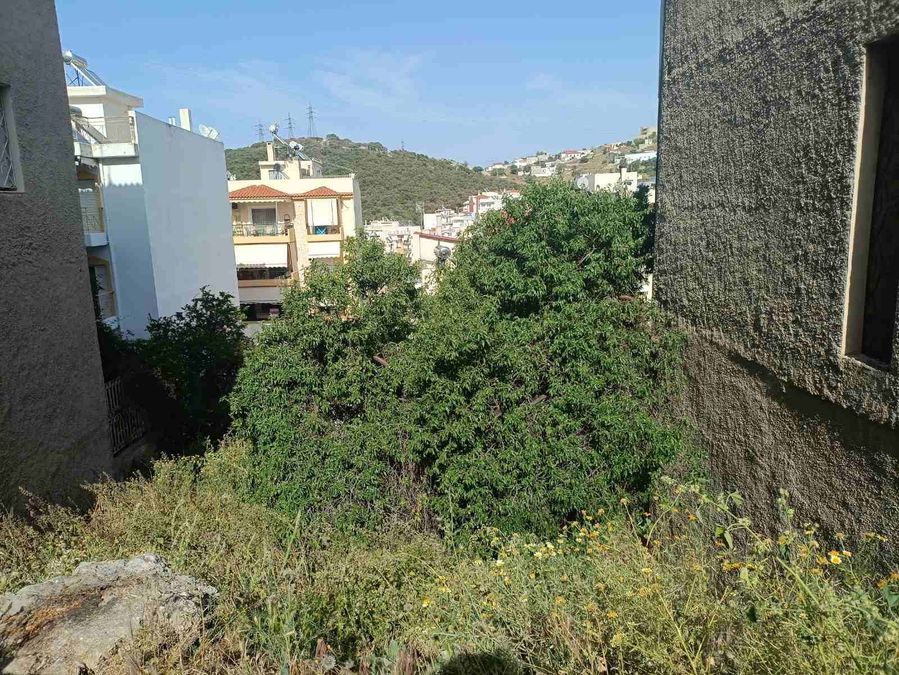 Photo 354696453