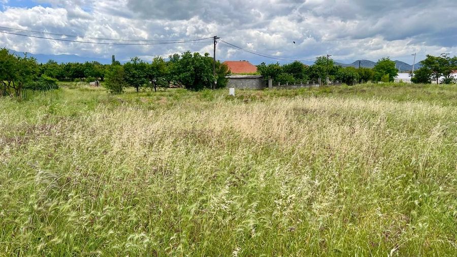 Detached House, Mataguži 6