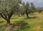 Photo 354987804