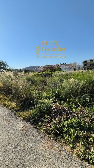 Photo 355181205