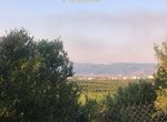 Photo 355216191