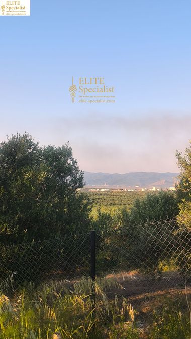 Photo 355216191