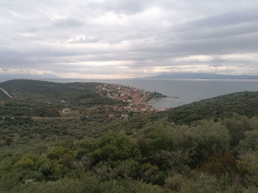 Photo 355510818
