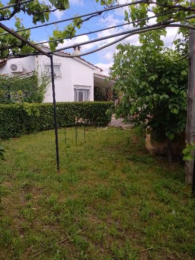 Photo 355567614