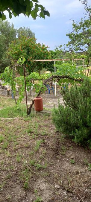 Photo 356287779