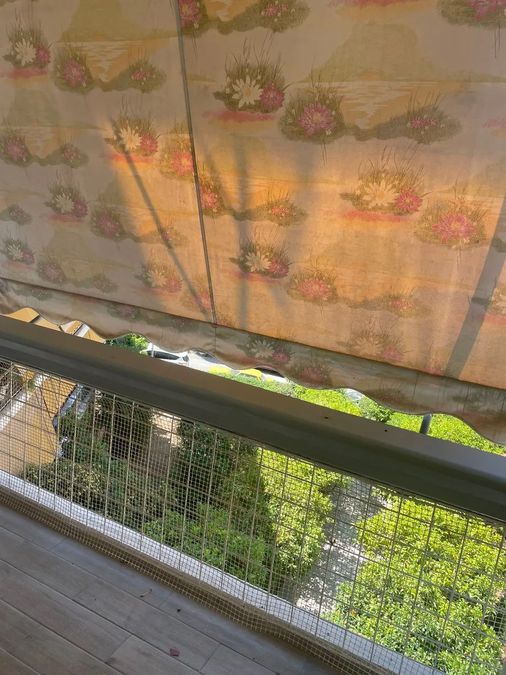 Photo 356446155