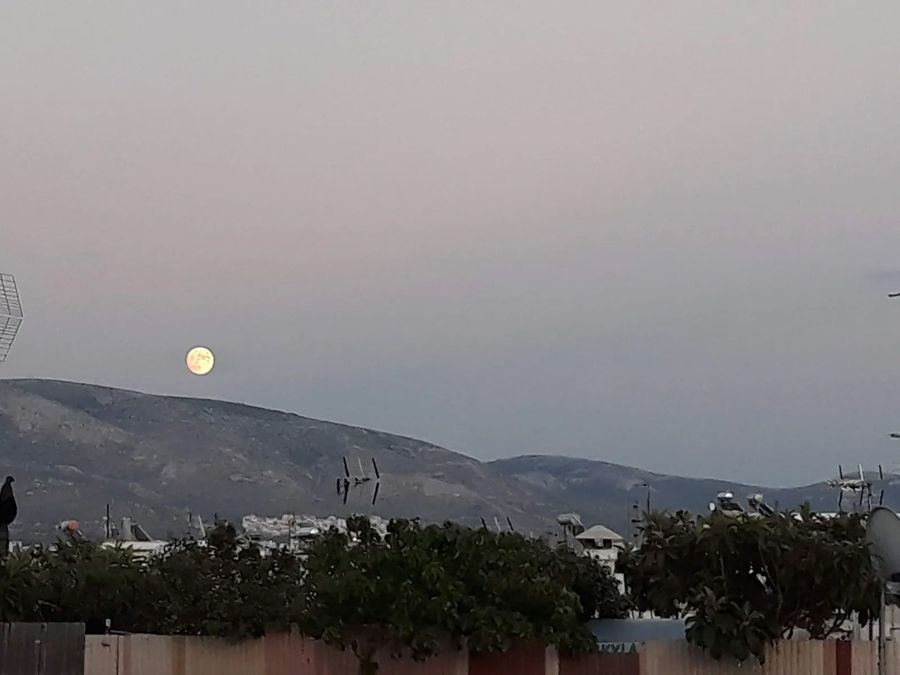 Photo 356705409