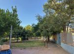 Photo 356864472