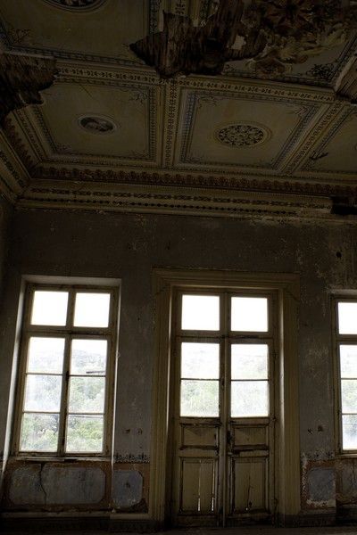 Photo 35693085