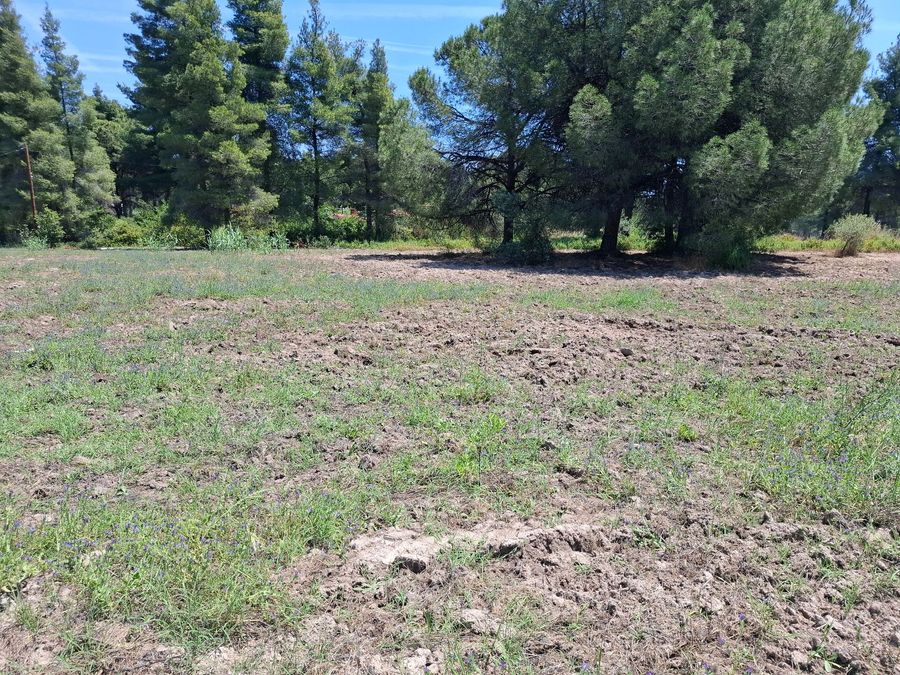 Photo 356968017