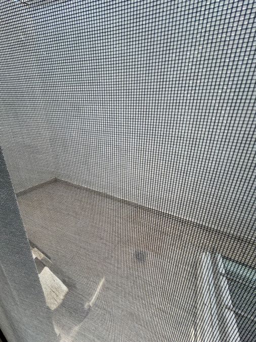 Photo 357594606