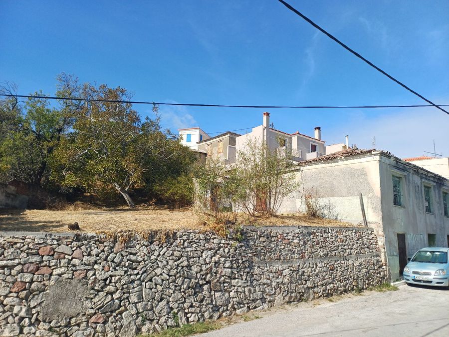 Photo 357719310