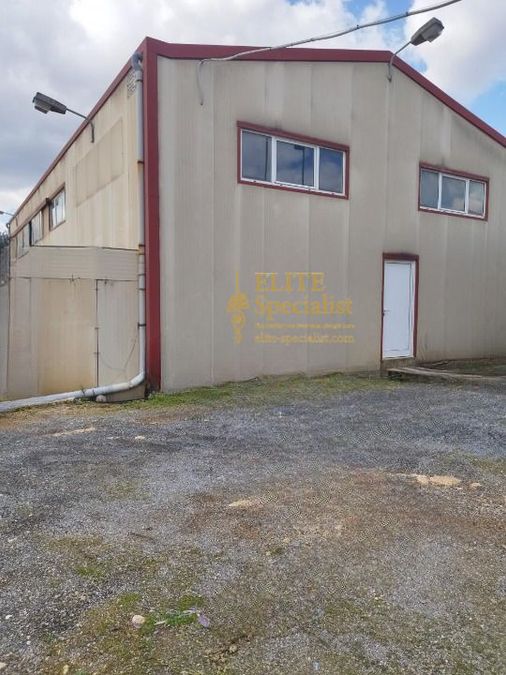 Photo 357820005