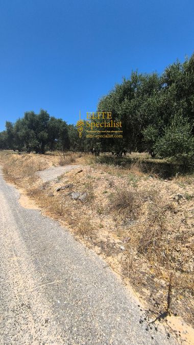 Photo 357921942