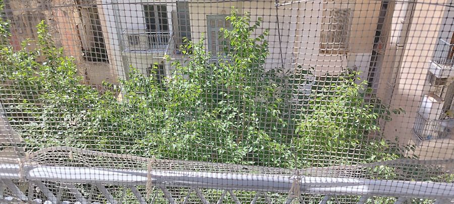 Photo 358349352