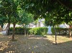 Photo 358509096