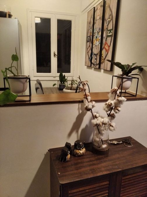 Photo 358537056
