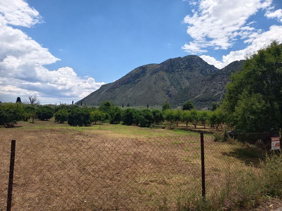 Photo 358760808