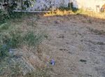 Photo 359406630