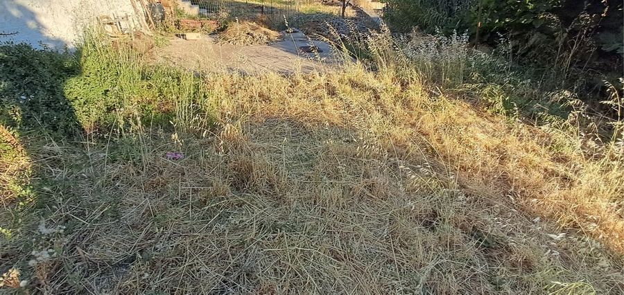 Photo 359407119