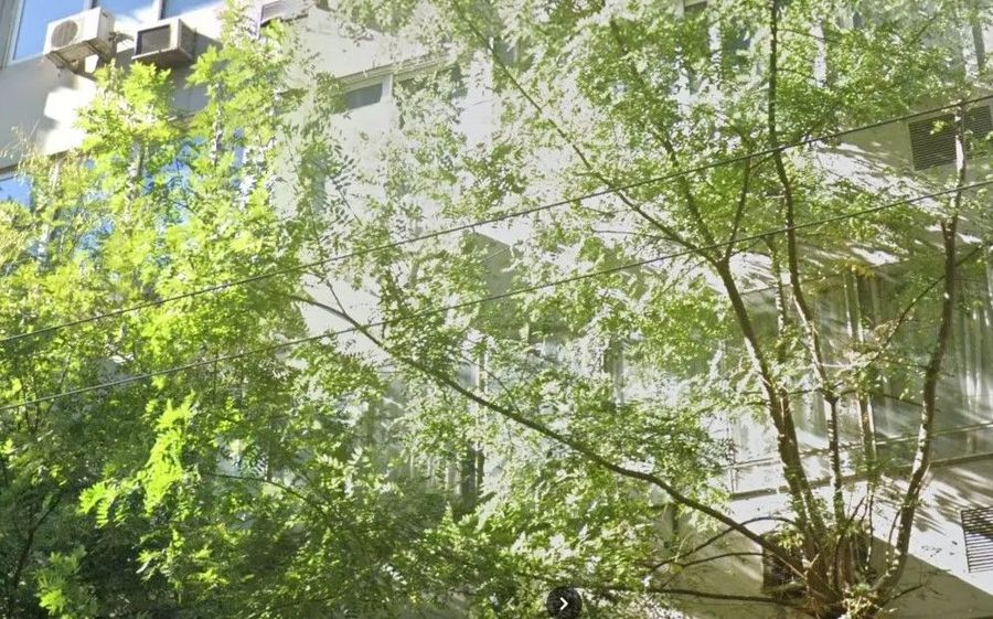 Photo 359971905