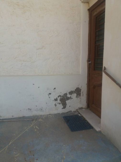 Photo 359972589