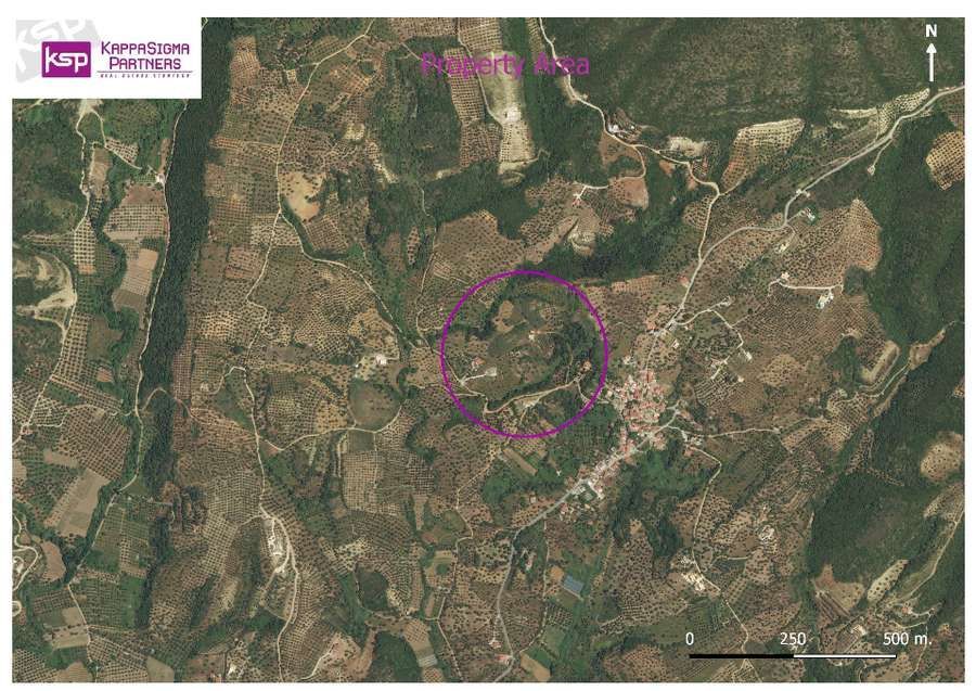 Photo 359973060