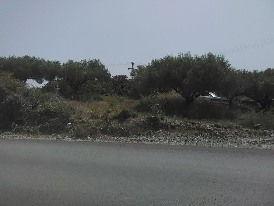 Photo 359973333