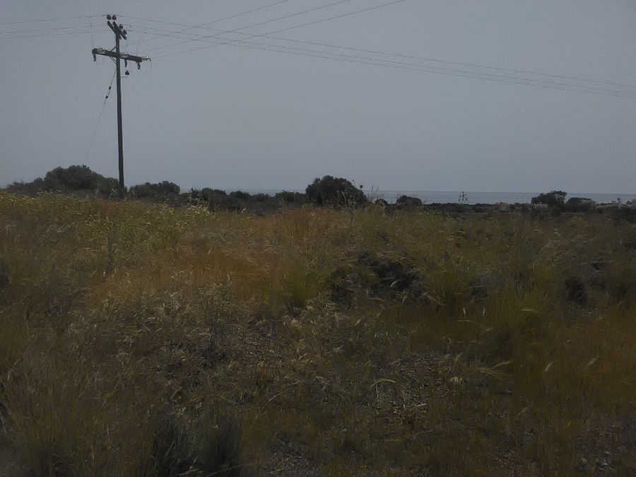 Photo 359973336