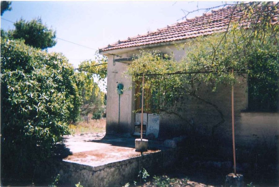 Photo 359974020