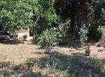 Photo 359974152