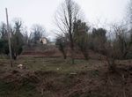 Photo 359974206