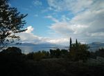 Photo 359976048