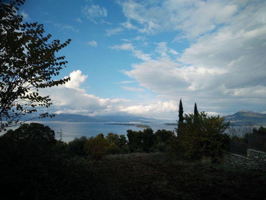 Photo 359976048