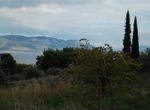 Photo 359976105