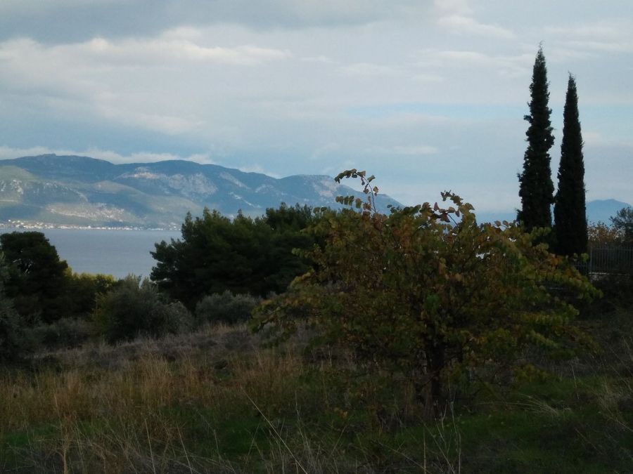 Photo 359976105