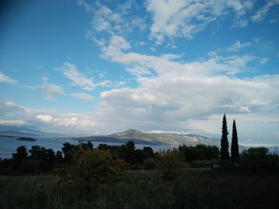 Photo 359976114
