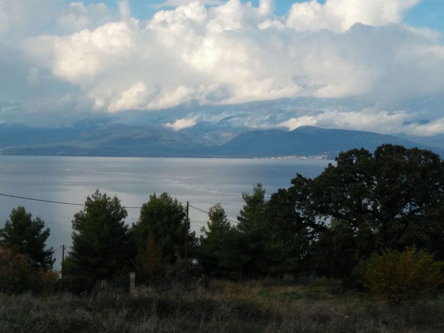Photo 359976123