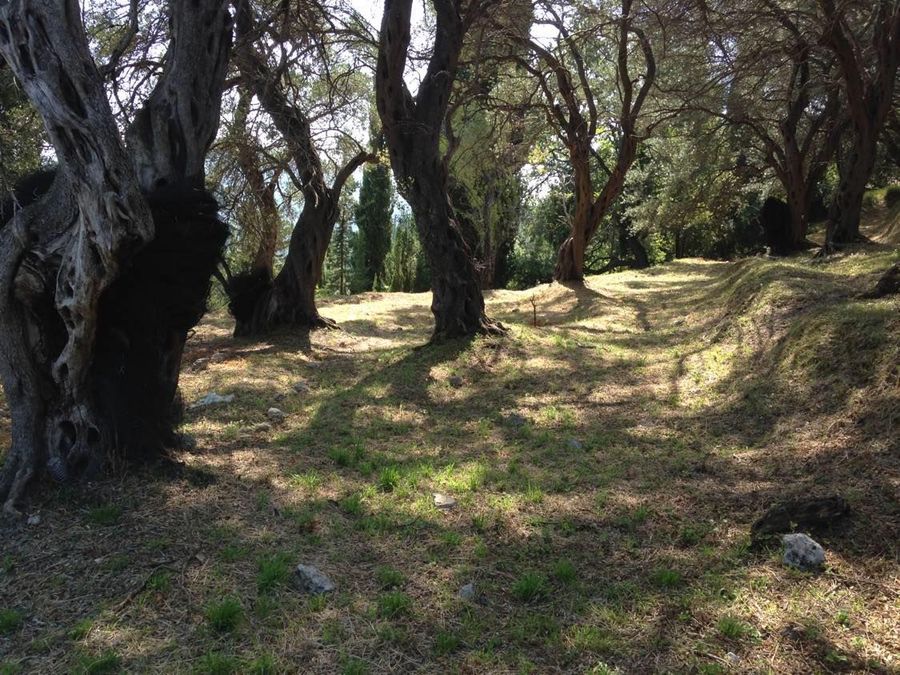 Photo 359979384