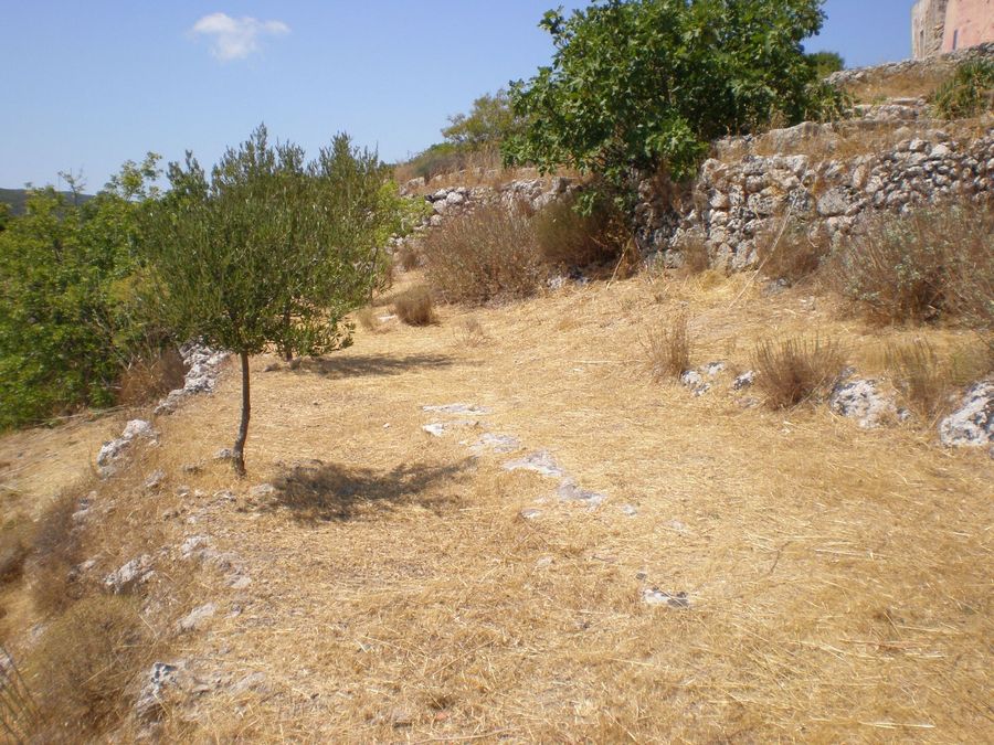 Photo 359979900