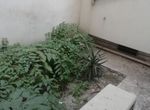 Photo 359982234