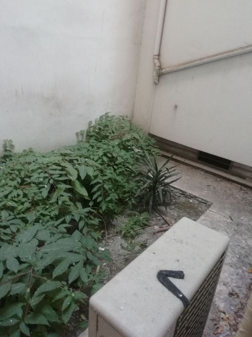 Photo 359982234