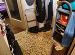 Photo 360097005