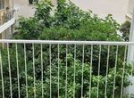 Photo 360213852