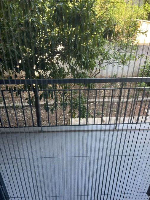 Photo 360346806
