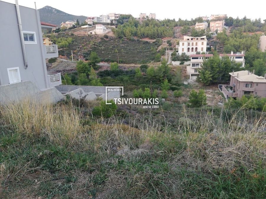 Photo 360421896