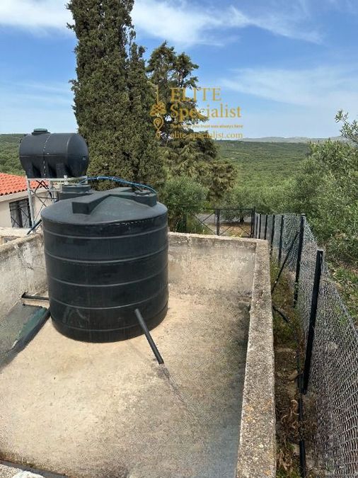 Photo 360520875