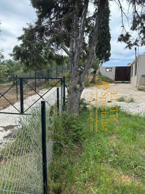 Photo 360520878